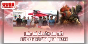 Luật Đá Gà Đòn Chi Tiết Giúp Kê Thủ Làm Quen Nhanh